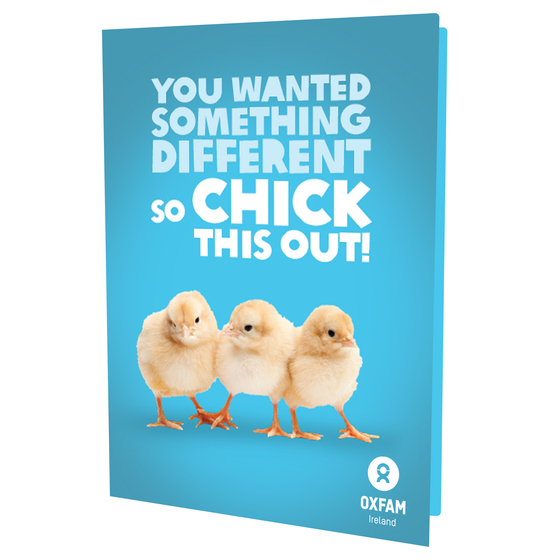 A Clutch of Chicks