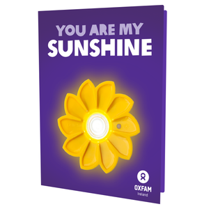 Little Sun Solar Lamp