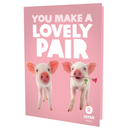 You Make a Lovely Pair (Pigs) - thumbnail